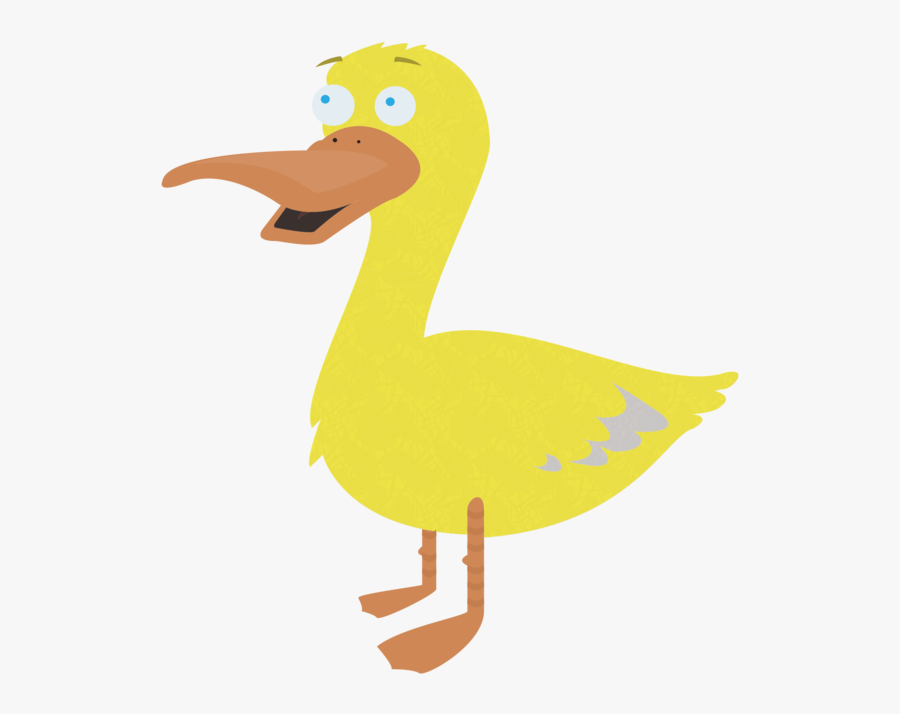 Duck, Transparent Clipart