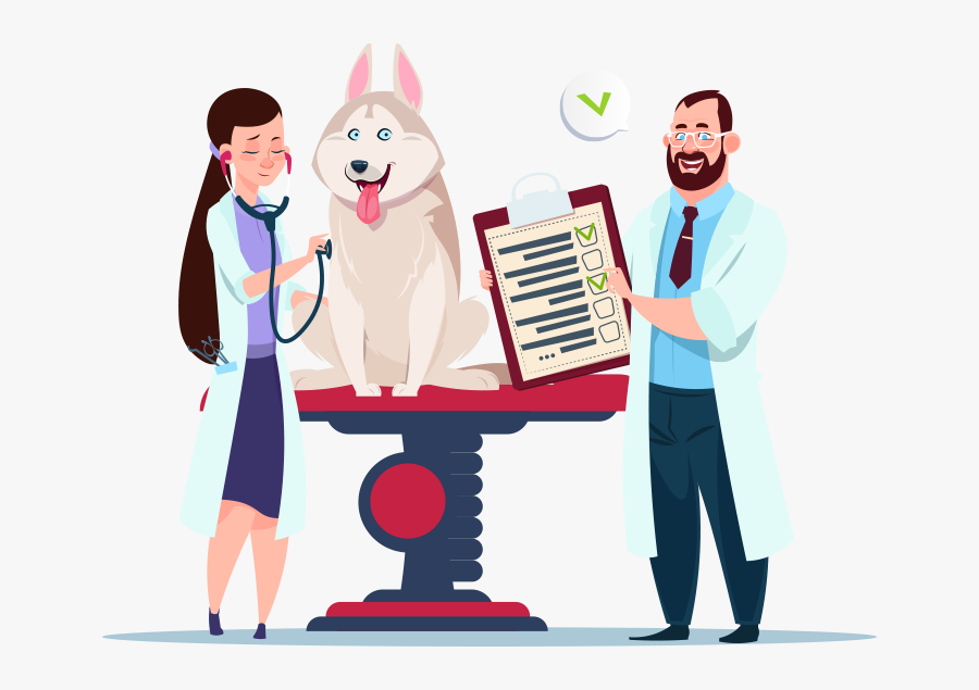 Veterinary Medicine, Transparent Clipart