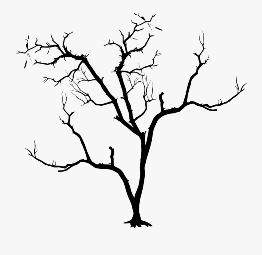 #silhouette #tree #halloween #black #freetoedit - Arboles Secos Para Dibujar, Transparent Clipart
