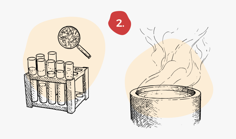 Illustration, Transparent Clipart