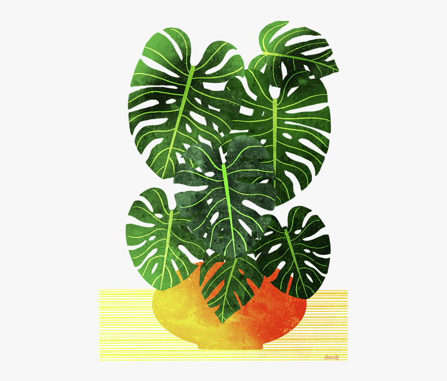 Swiss Cheese Plant In Pot, Transparent Clipart