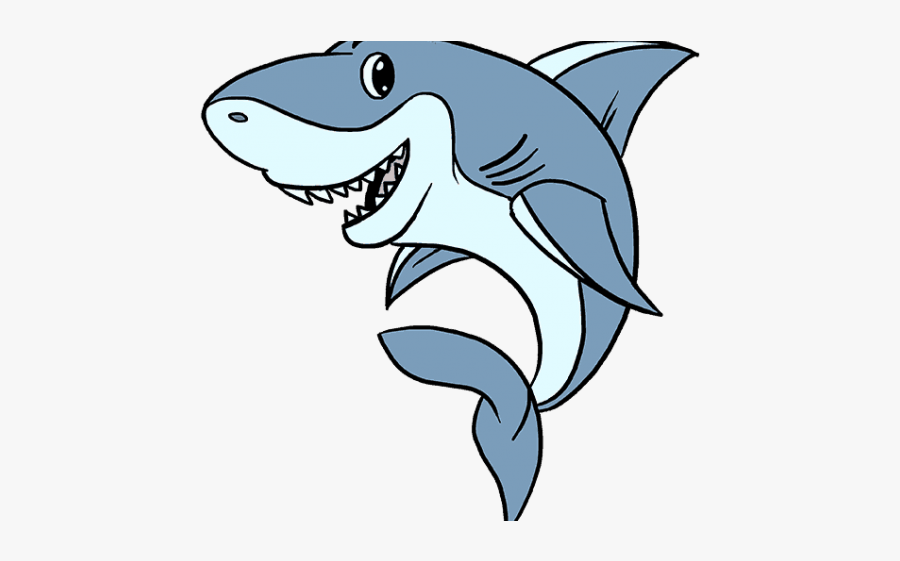 Shark Drawing, Transparent Clipart