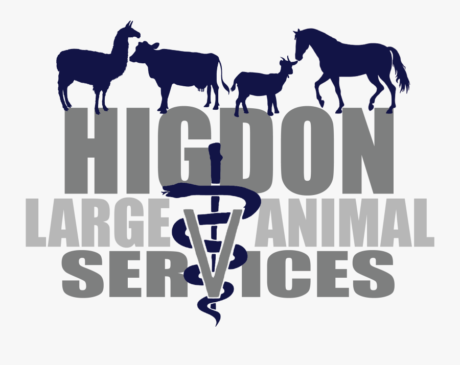 Hlas Logo Mane - Mane, Transparent Clipart