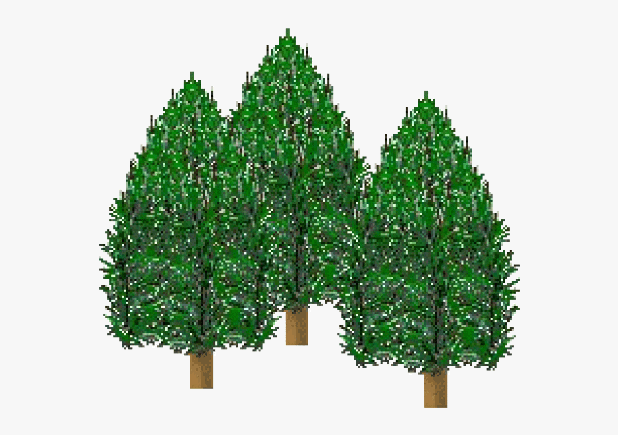 Pine Tree Forest Page 1 Pine Tree Forest Page 2 Pine - Pine Tree Clip Art, Transparent Clipart