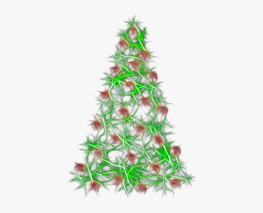 Pine Needles, Fir Tree, Branch, Wood, Star - Christmas Day, Transparent Clipart