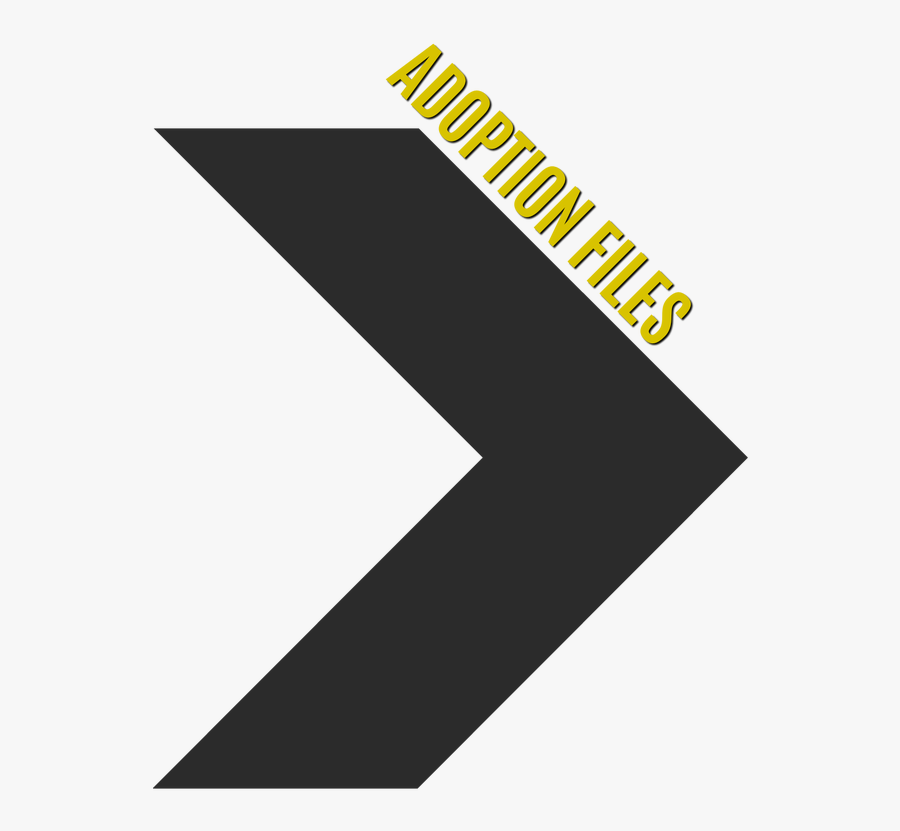 Graphic Design, Transparent Clipart