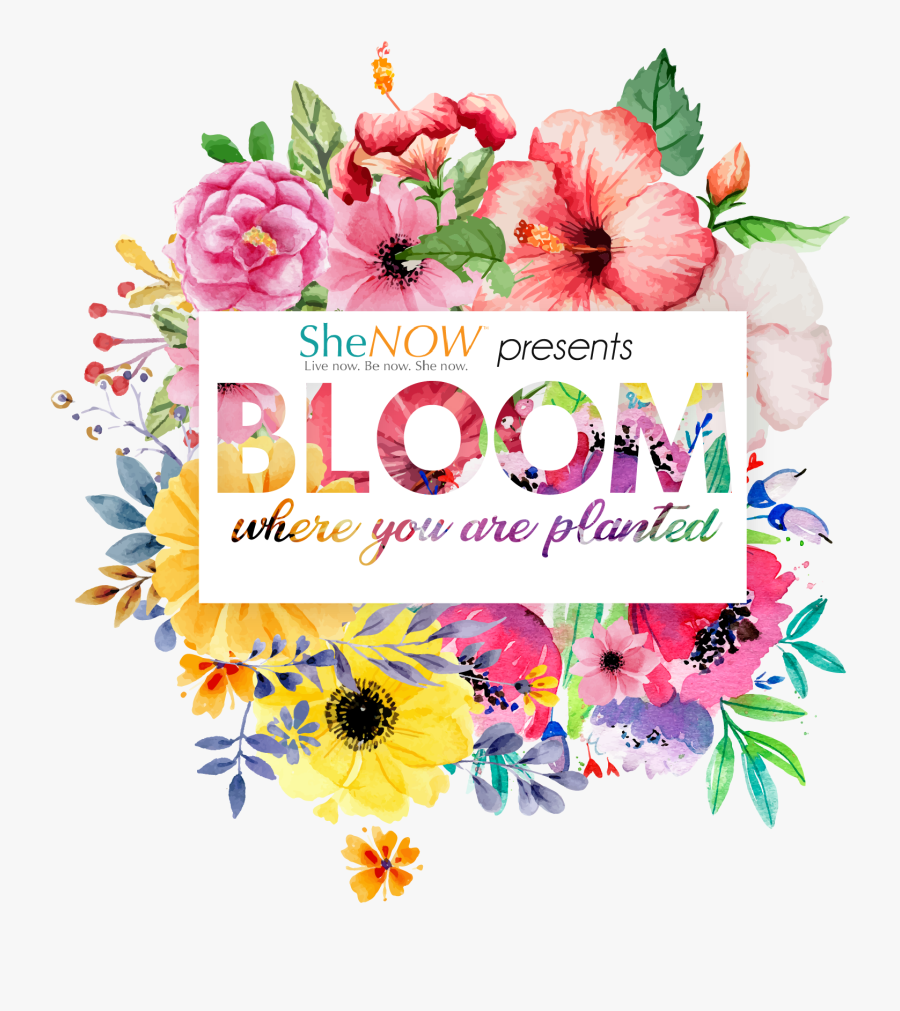 Mom I Am A Rich Man, Transparent Clipart