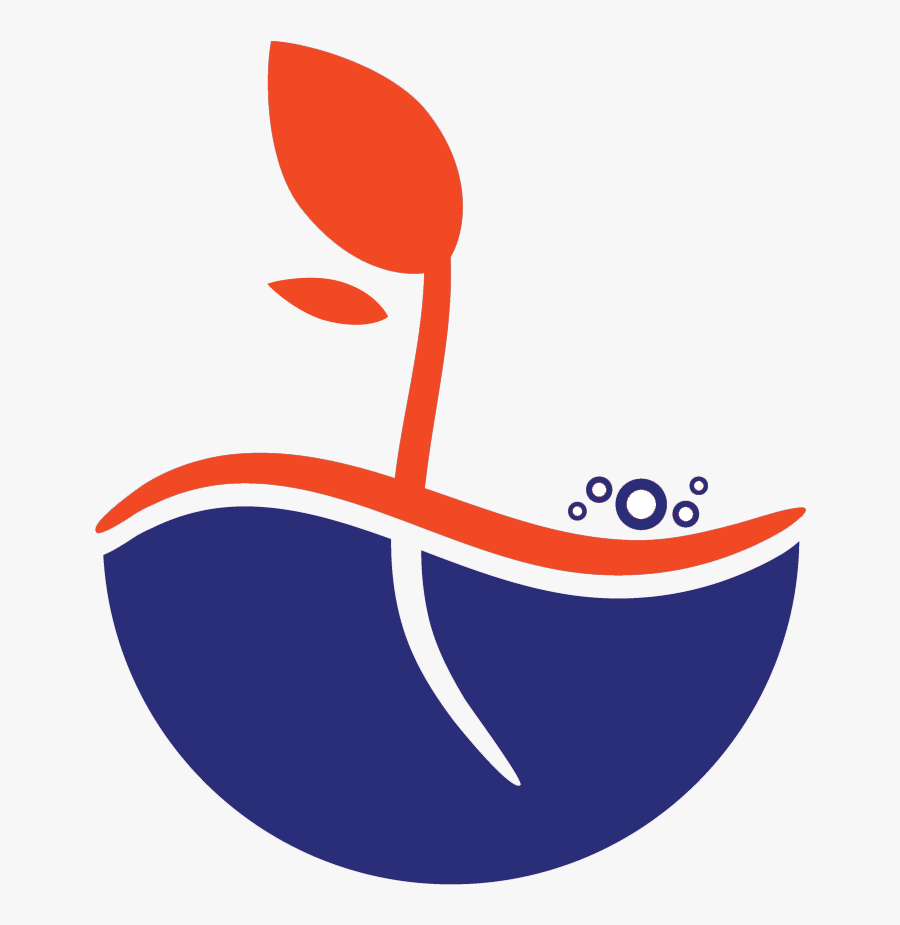 Graphic Design, Transparent Clipart