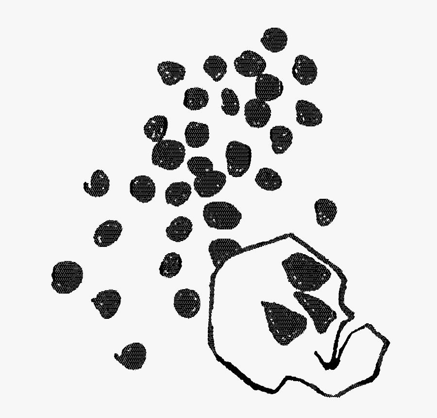 Clip Art, Transparent Clipart