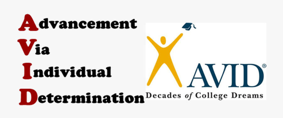 Picture - Program Avid, Transparent Clipart