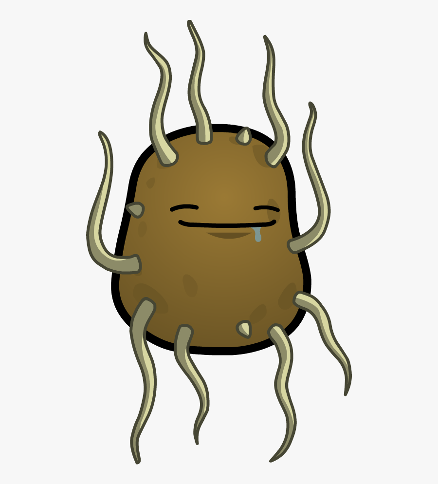 Potato, Transparent Clipart