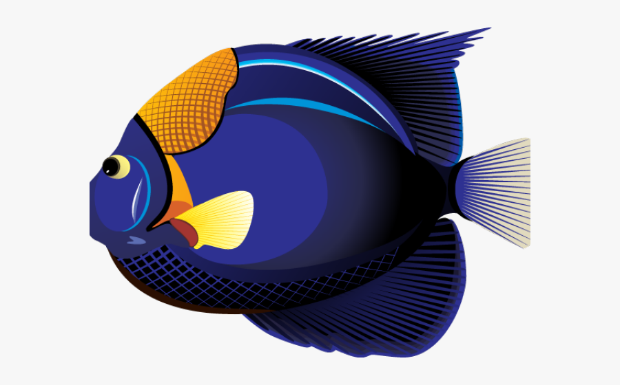 Clipart Tropical Fish, Transparent Clipart