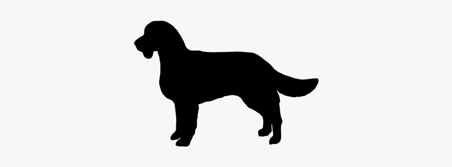 Labrador Retriever Advertising Service Dog Harness - Large Dog Breed Chart, Transparent Clipart