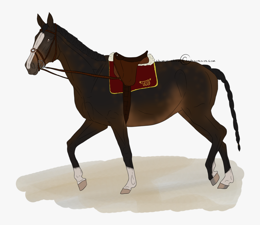 Mule Horse Silhouette - Sorrel, Transparent Clipart