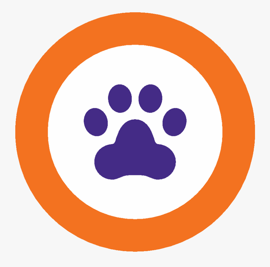 Circle, Transparent Clipart