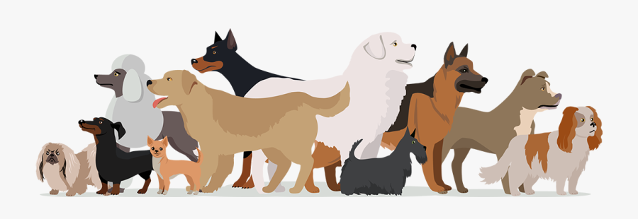 August 26th National Dog Day 2019, Transparent Clipart