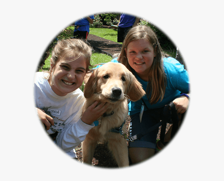 Summer Paals - Golden Retriever, Transparent Clipart