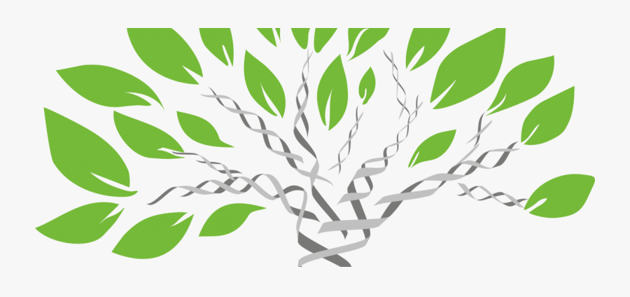 New Inventions In Biology 2019, Transparent Clipart