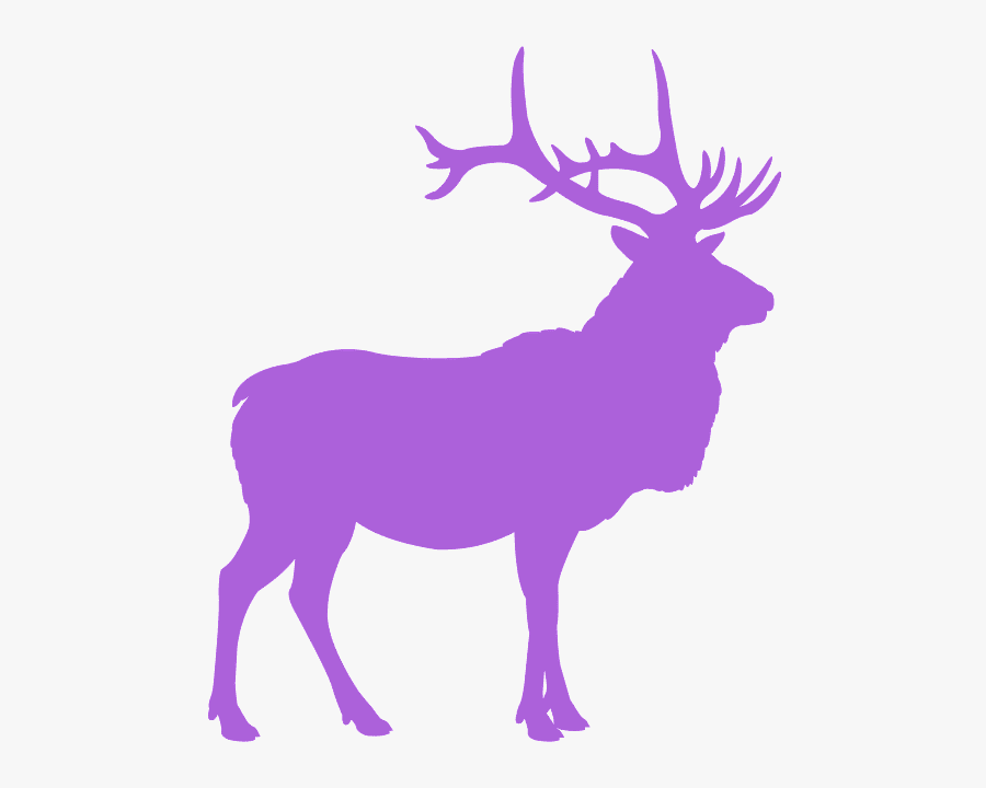 Estes Park Colorado Logo, Transparent Clipart