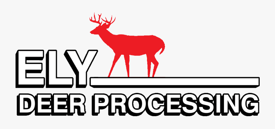 Edp-logo1024 - Deer, Transparent Clipart
