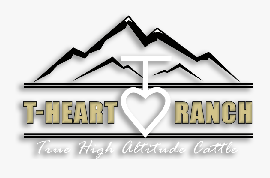 Image - Heart, Transparent Clipart