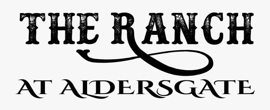 Picture - Calligraphy, Transparent Clipart