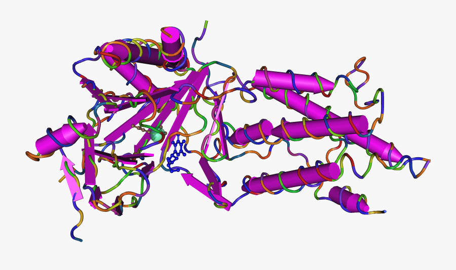 3lfm Fat Mass And Obesity Associated Protein - Illustration, Transparent Clipart