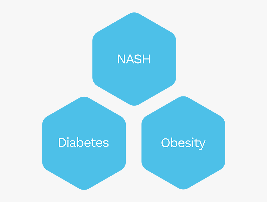 Nash Diabetes, Transparent Clipart