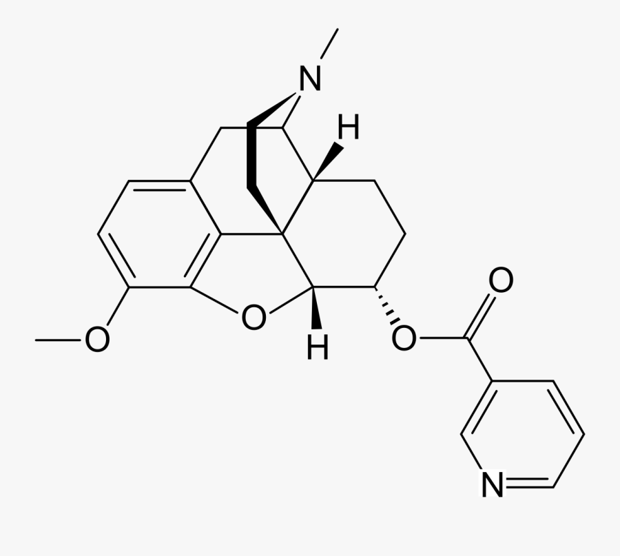 Blunt Drawing Codeine - Dimethyl Morphine, Transparent Clipart