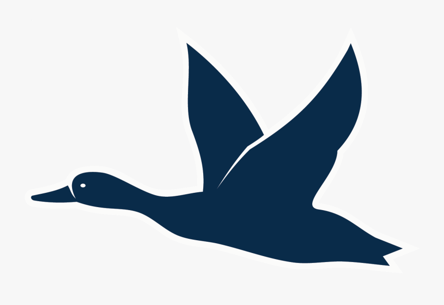 Alaska Duck Hunting - Duck, Transparent Clipart