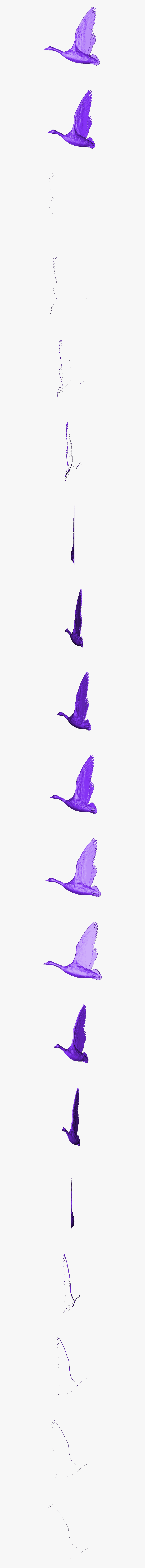 European Swallow, Transparent Clipart