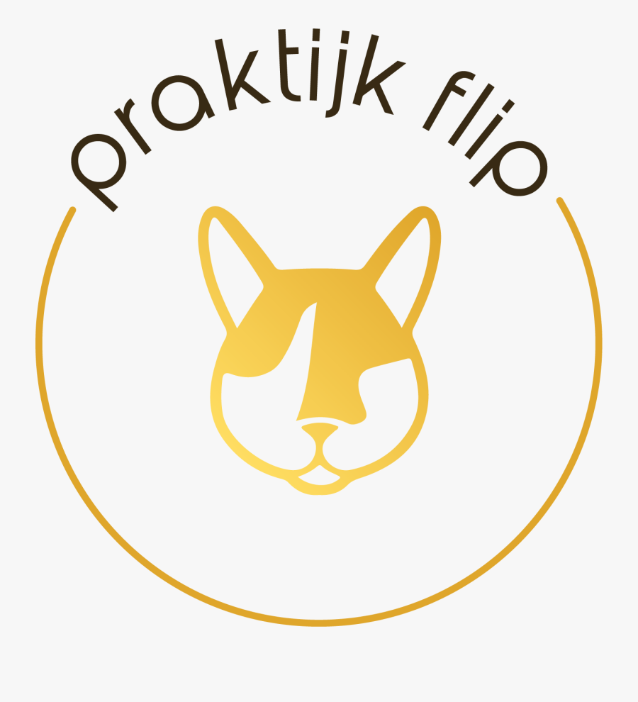 Praktijk Flip, Transparent Clipart