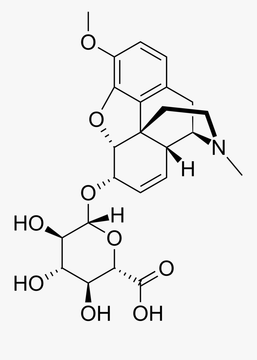 Glucuronide Wikipedia - 6 Monoacetylmorphine, Transparent Clipart