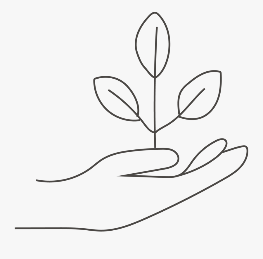 Return Packaging - Line Art, Transparent Clipart