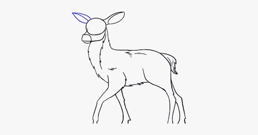 Deer, Transparent Clipart