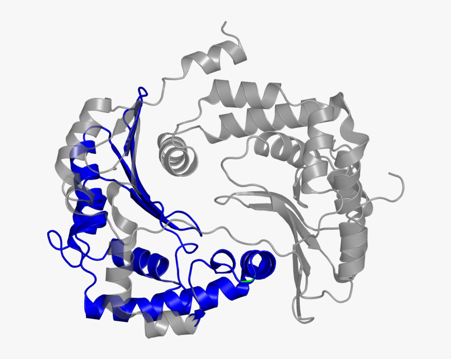 Graphic Design, Transparent Clipart