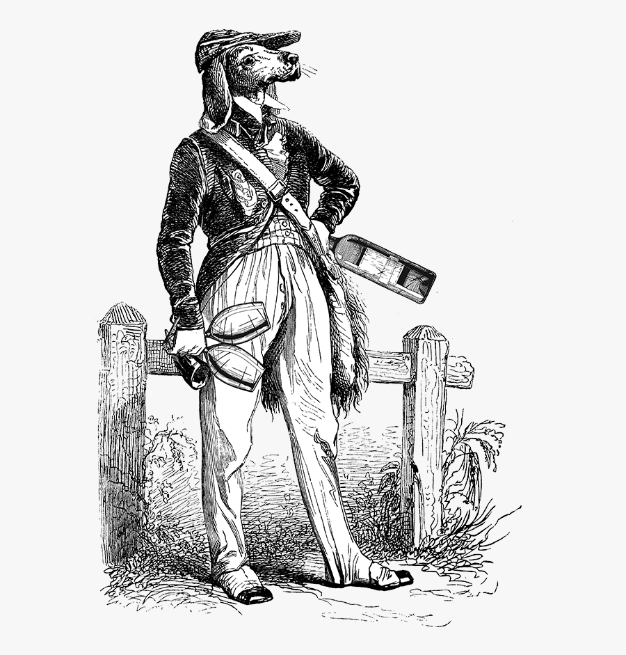 Illustration, Transparent Clipart