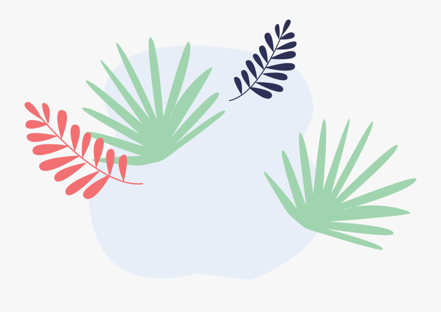 Illustration, Transparent Clipart