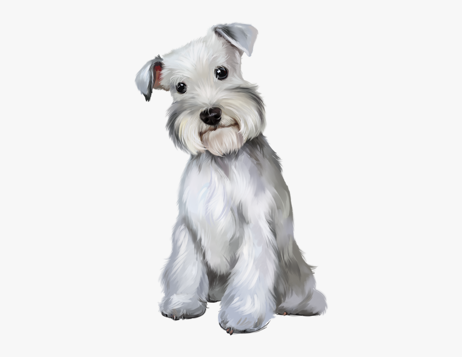 Schnauzer Png, Transparent Clipart
