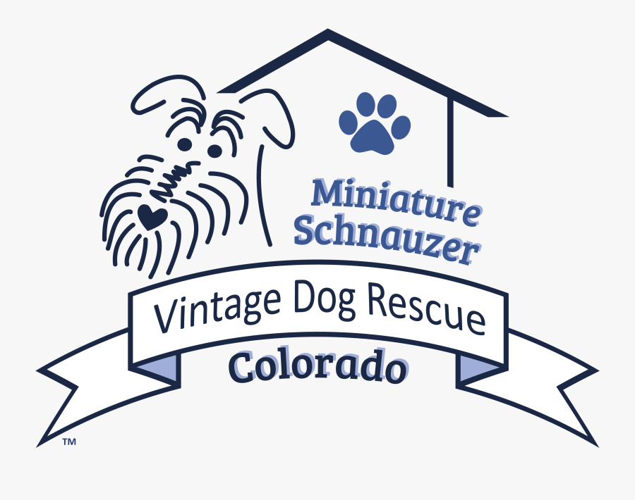 Miniature Schnauzer Rescue Colorado, Transparent Clipart