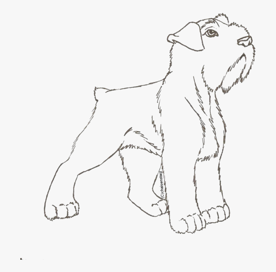 Schnauzer Standard Coloring Page, Printable Schnauzer - Airedale Terrier, Transparent Clipart