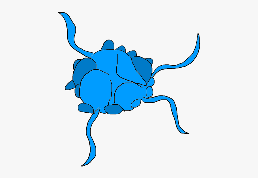 Image - Illustration, Transparent Clipart