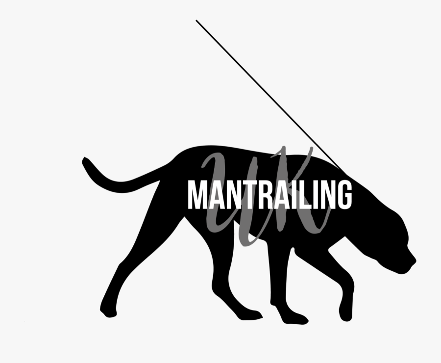 Transparent Dog Sniffing Clipart - Dog Catches Something, Transparent Clipart