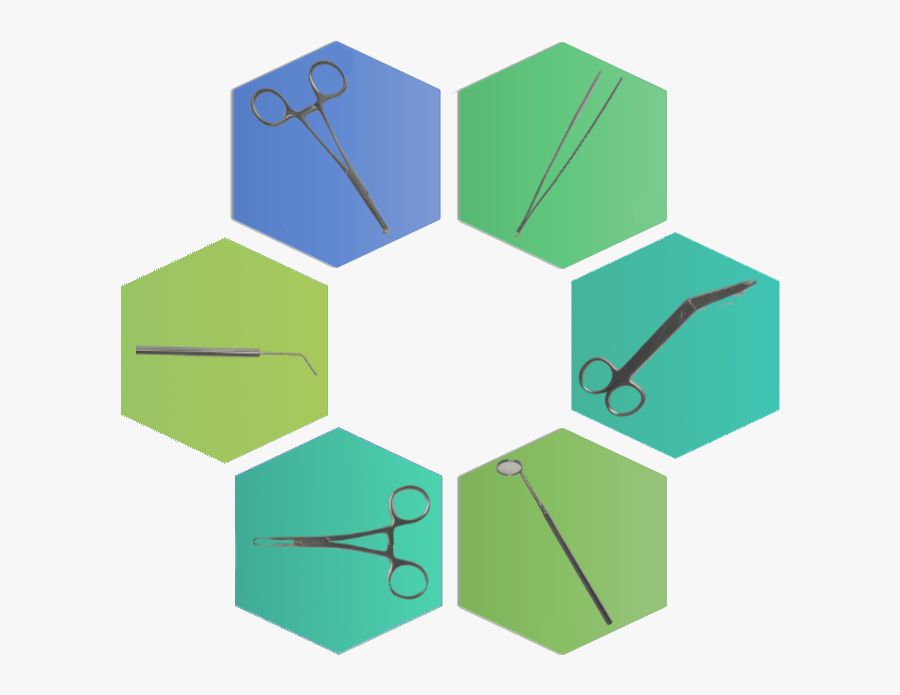 Ut Health Science Center San, Transparent Clipart