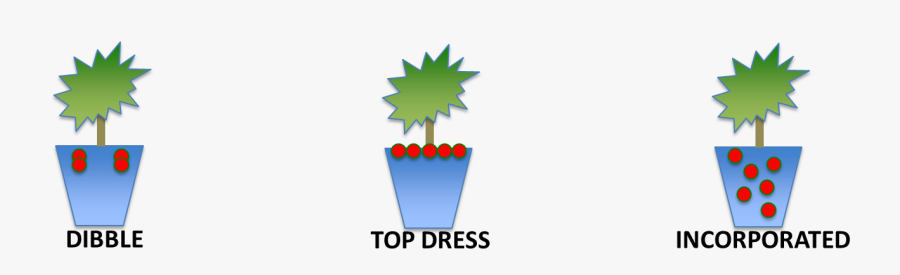 Dibtopinc - Graphic Design, Transparent Clipart