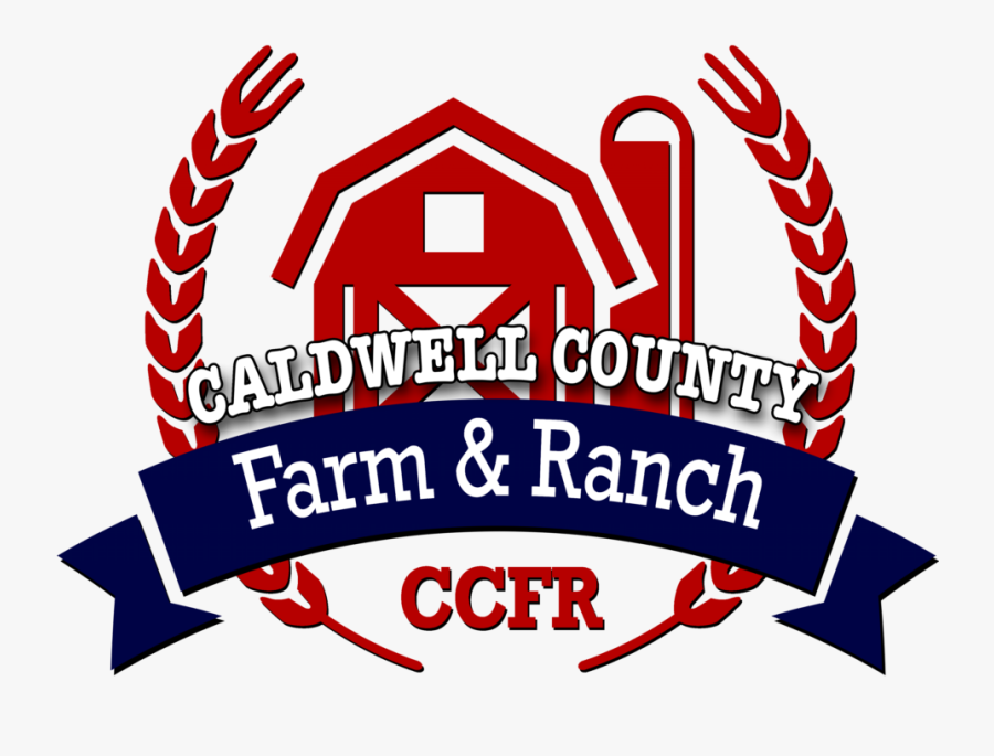 India Bullion And Jewellers Association, Transparent Clipart