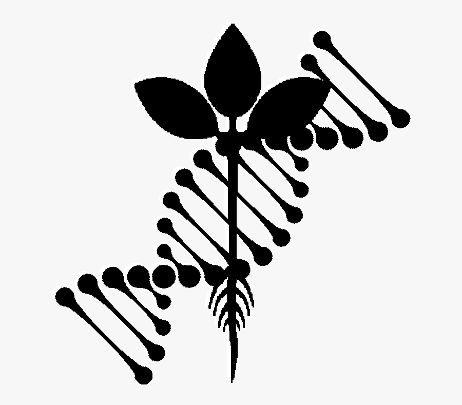 Illustration, Transparent Clipart