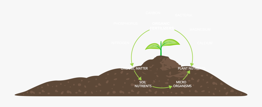 Abundant Harvest Organic Fertiliser Provider - Illustration, Transparent Clipart