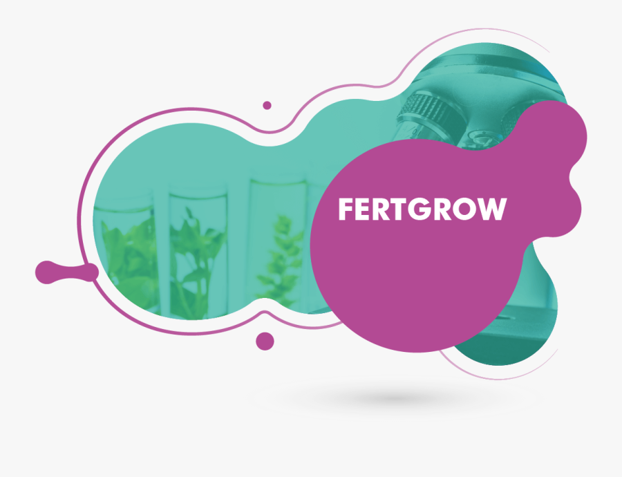 Graphic Design, Transparent Clipart