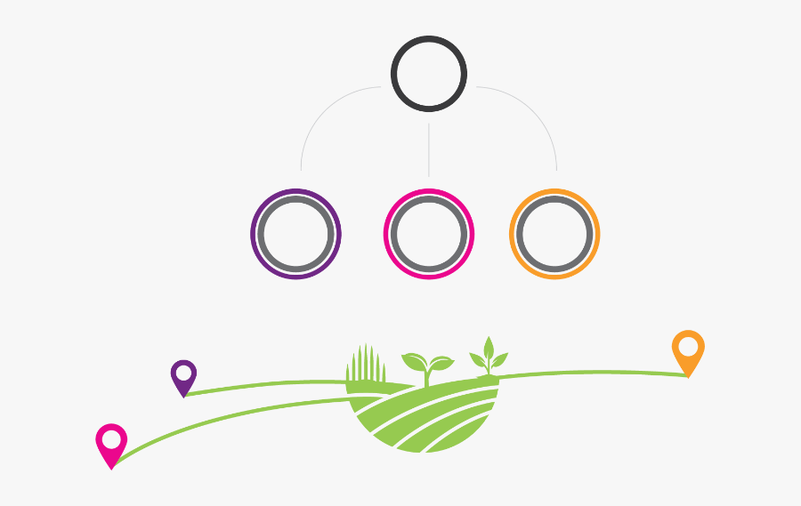 Circle, Transparent Clipart